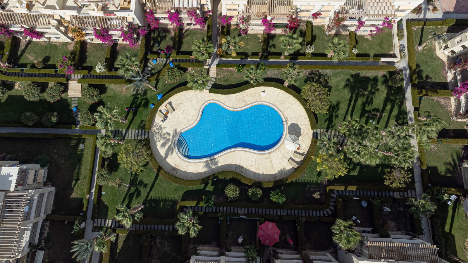 Veranda Sahl Hasheesh – Pools and Greenery Infinity pool surrounded by palm trees and gardens at Veranda Sahl Hasheesh.