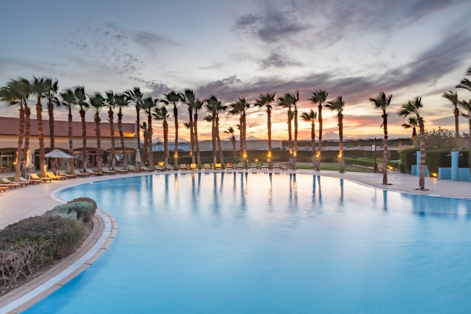 Veranda Sahl Hasheesh – Pools and Greenery Infinity pool surrounded by palm trees and gardens at Veranda Sahl Hasheesh.