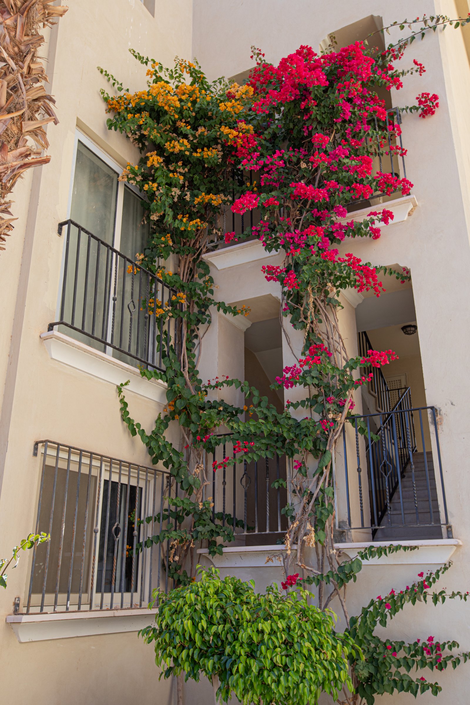 Poolside property for sale in Veranda Sahl Hasheesh with private terrace