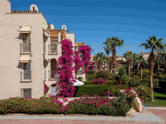Veranda Sahl Hasheesh Poolside property for sale in Veranda Sahl Hasheesh with private terrace