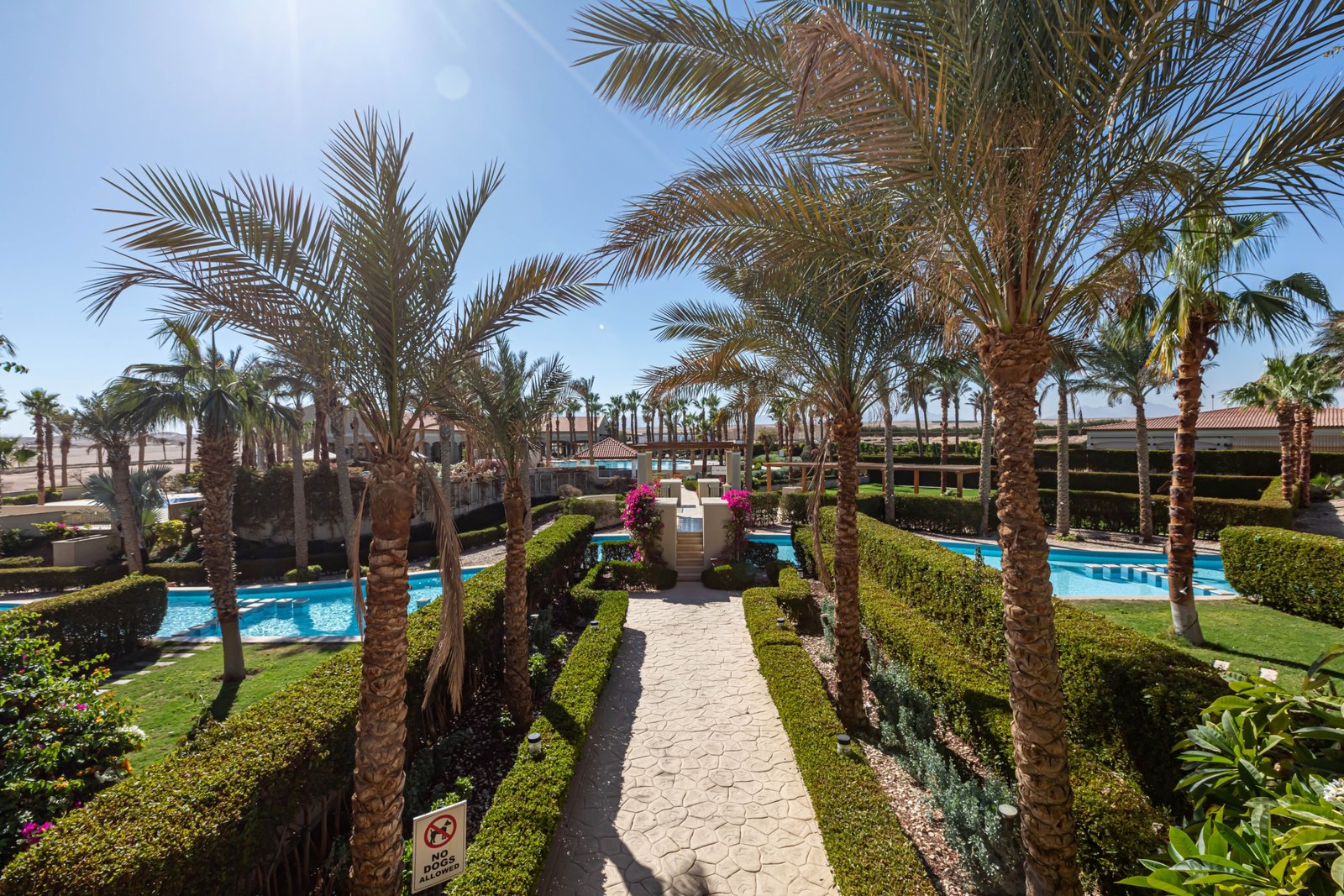 Luxury hurghada egypt apartment with pool view and modern interior