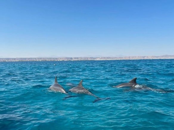 Makadi Heights Hurghada real estate investment with high ROI potential