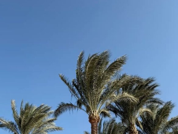 Modern residential buildings in El Hadaba Hurghada showing growing demand for El Hadaba Hurghada real estate.