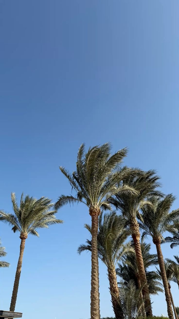 Modern residential buildings in El Hadaba Hurghada showing growing demand for El Hadaba Hurghada real estate.