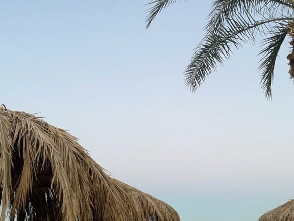 Buyer reviewing property documents and hidden fees in Egypt