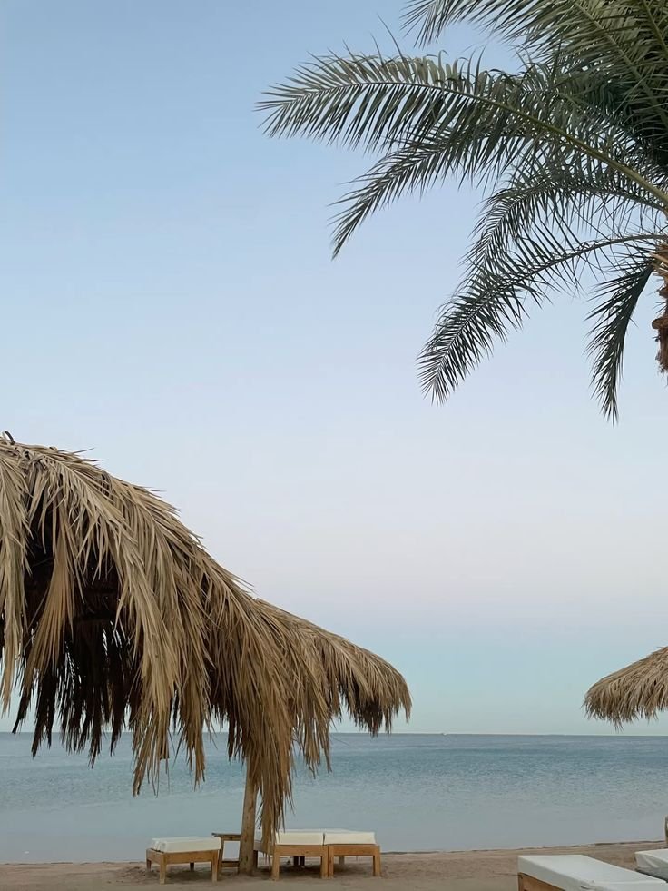 Buyer reviewing property documents and hidden fees in Egypt