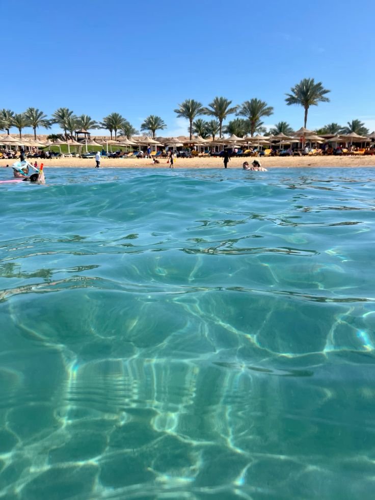 International buyers reviewing real estate documents in Hurghada