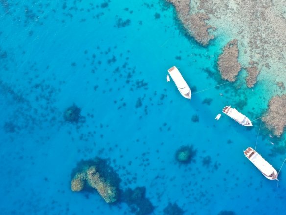 îles près de Hurghada avec eau turquoise, plages de sable blanc et spots parfaits pour le snorkeling