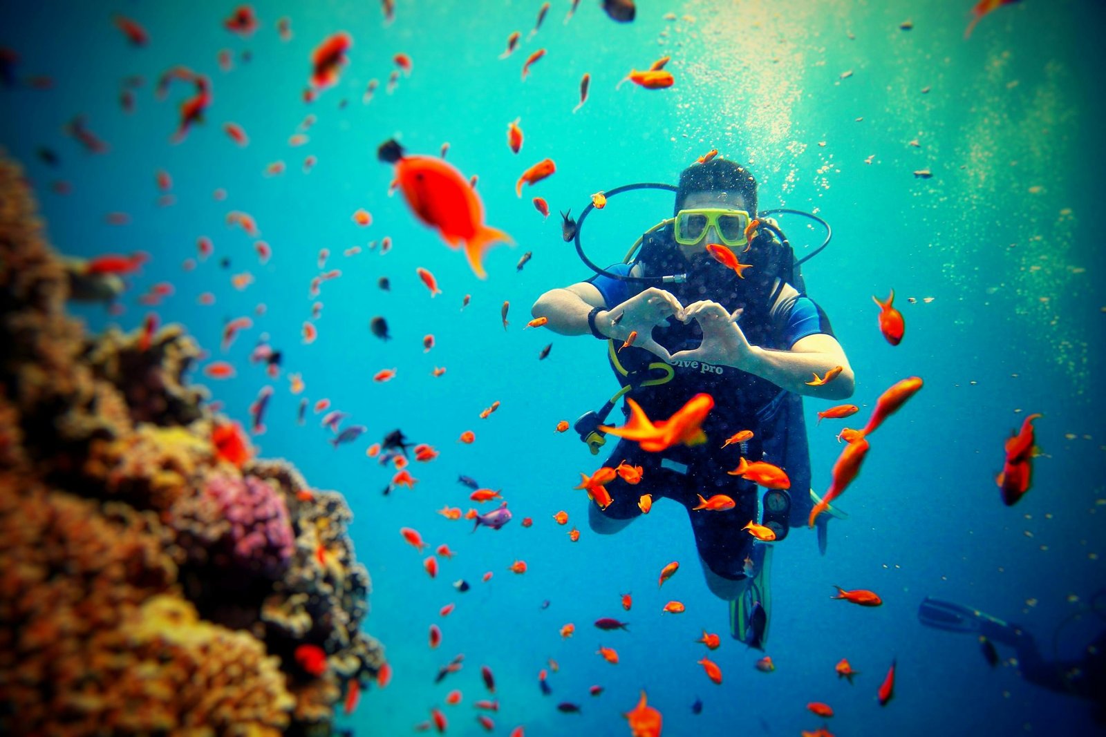 Coral reefs in the Red Sea with colorful fish and crystal-clear water