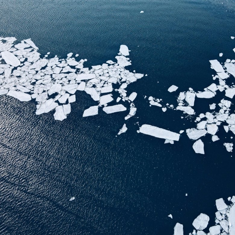 Climate Change and Coastal Real Estate: Risk or Opportunity for Investors in 2026