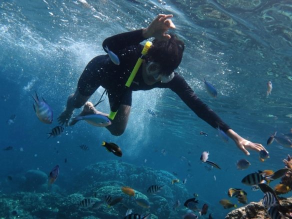 Best things to do in hurghada including snorkeling and desert safari activities