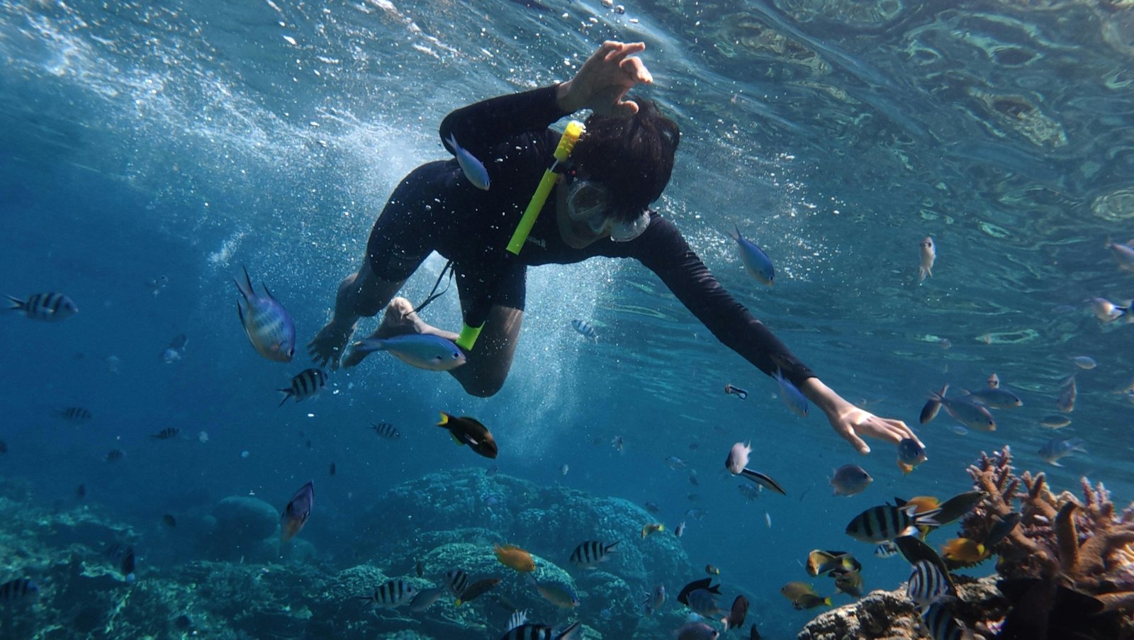Best things to do in hurghada including snorkeling and desert safari activities