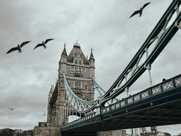 Investors Shifting from traditional markets to emerging real estate destinations like the Red Sea