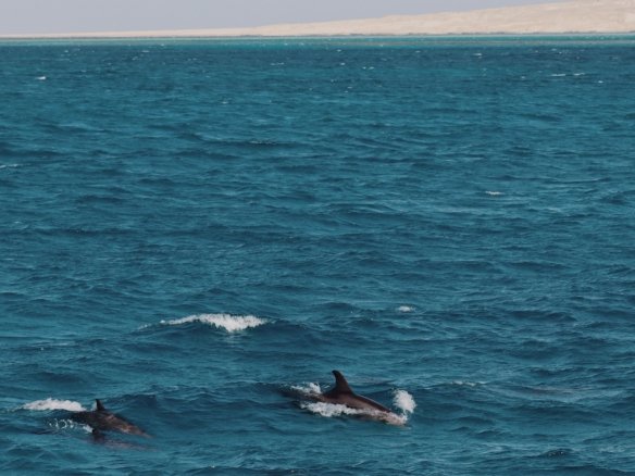 Hurghada mit traumhaften Stränden, türkisblauem Roten Meer und modernen Ferienresorts in Ägypten