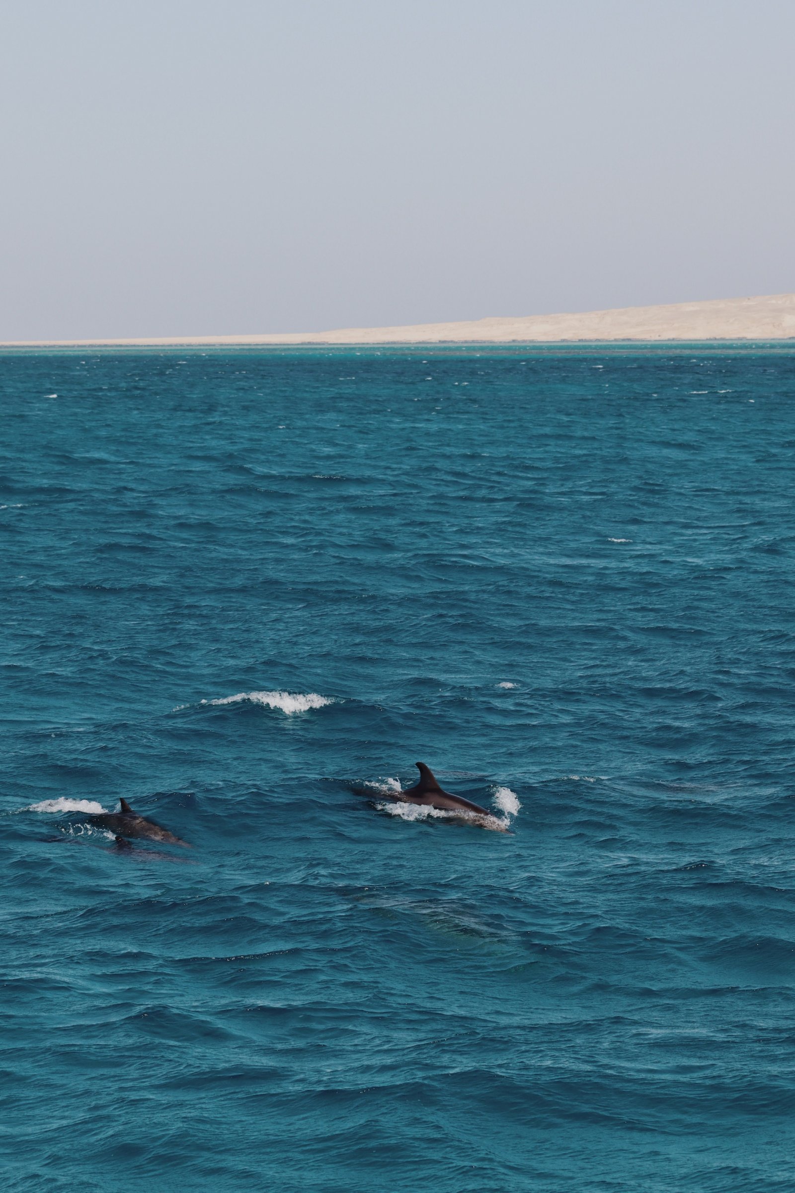 Hurghada mit traumhaften Stränden, türkisblauem Roten Meer und modernen Ferienresorts in Ägypten