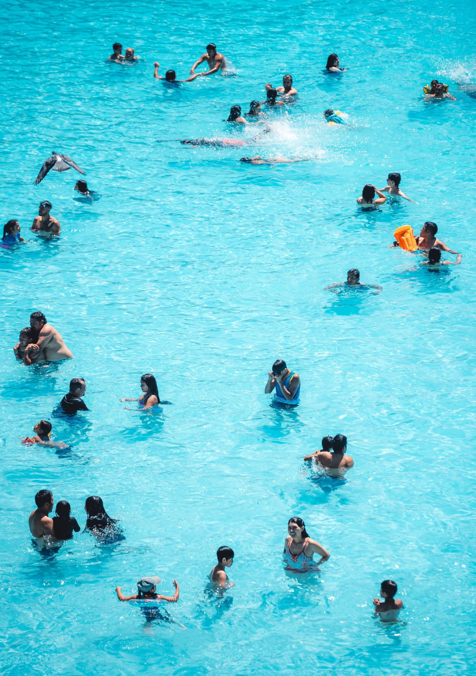 Gemeinschaftspool in einer modernen Wohnanlage mit Liegebereich und gepflegter Umgebung