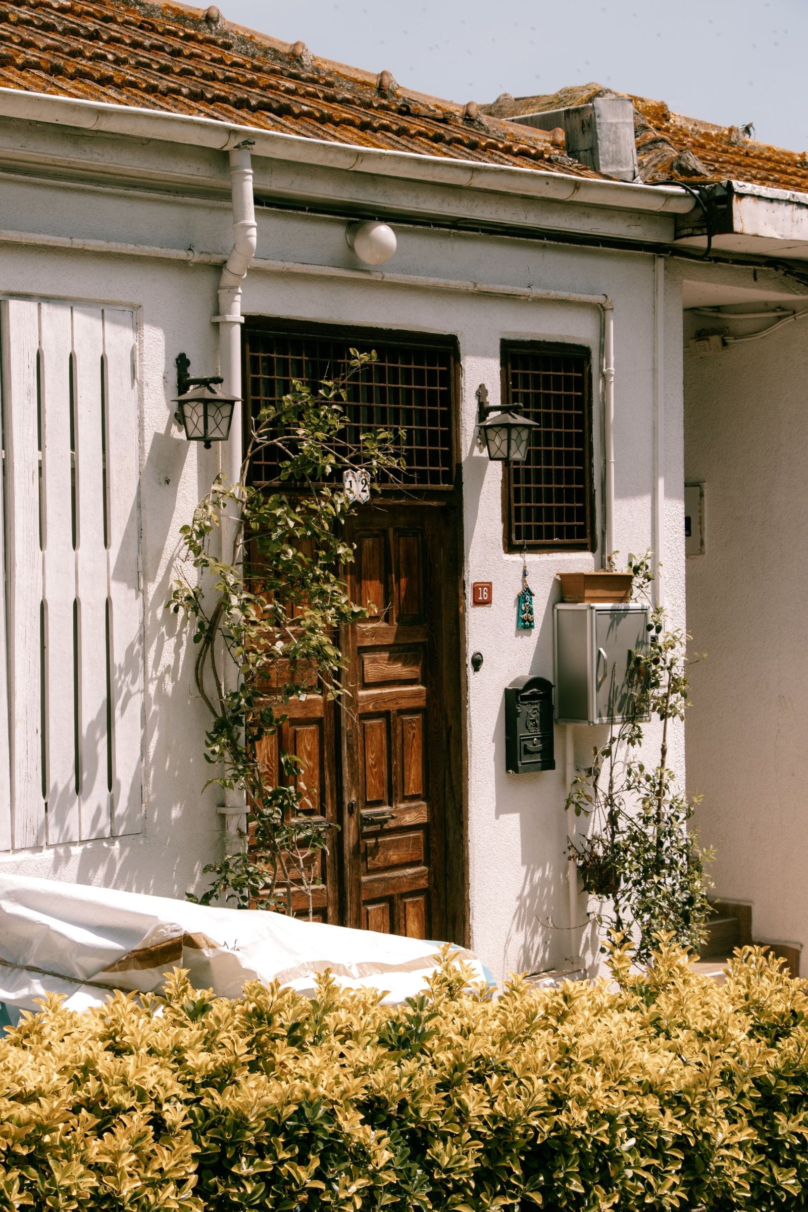 Buying Homes – homebuyers exploring available properties in today's active real estate market.