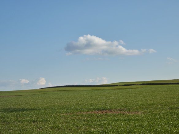 Land gekauft – Grundstück als langfristige Investition zu einem günstigen Preis