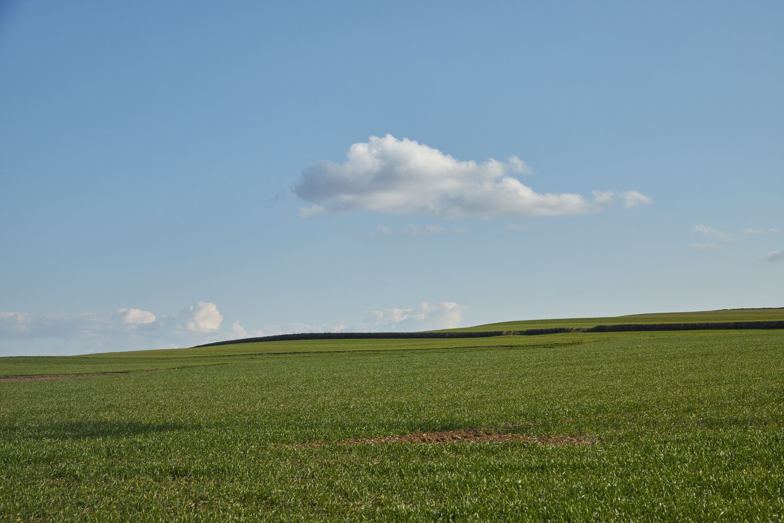 Land gekauft – Grundstück als langfristige Investition zu einem günstigen Preis