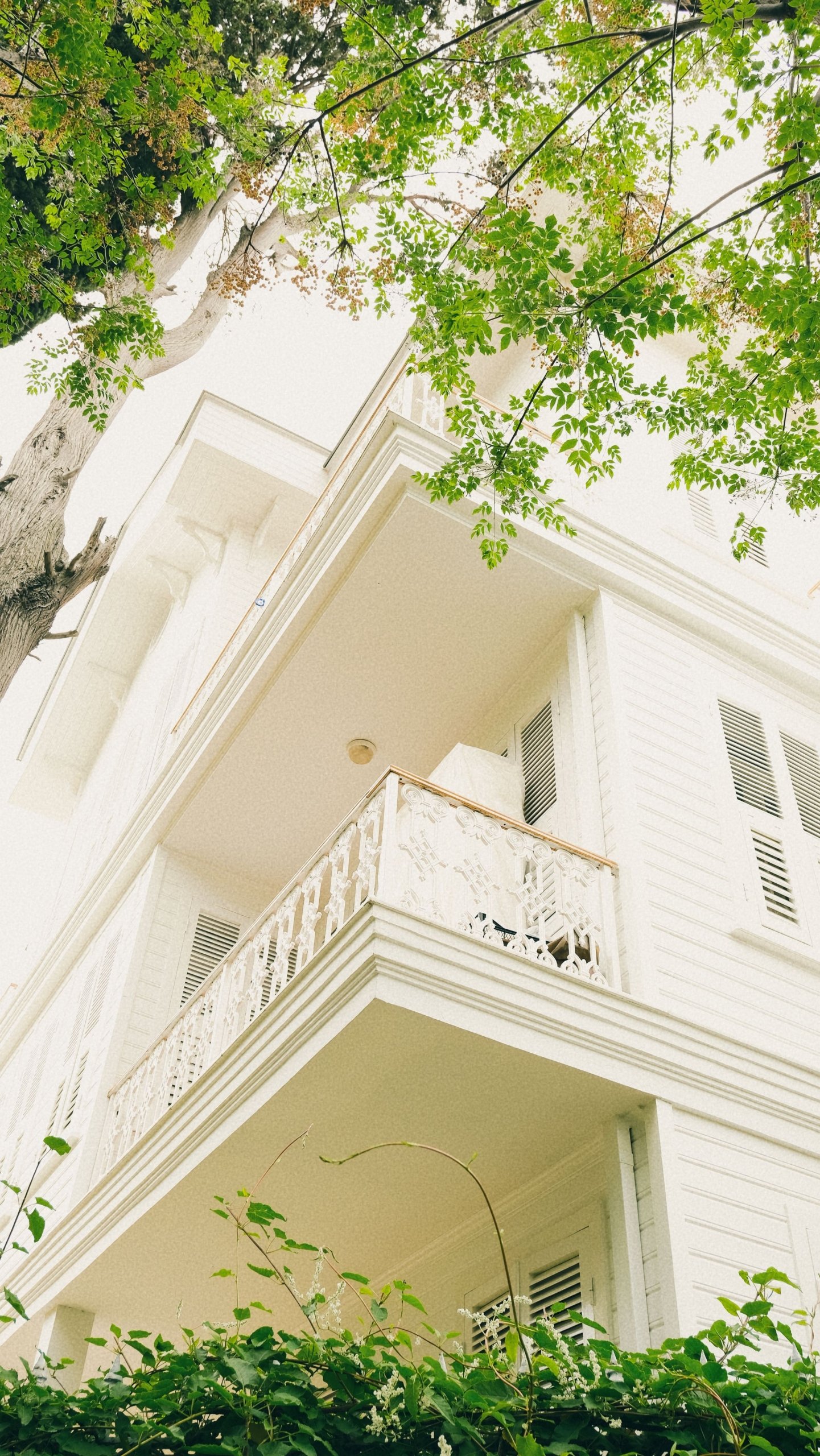 Identify High-Potential Investment Properties