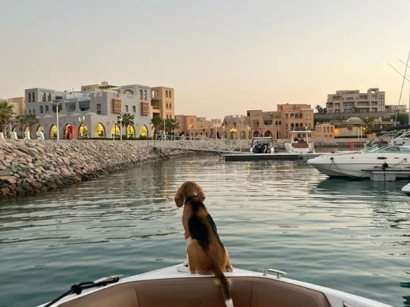 العيش في الغردقة للأجانب تكلفة المعيشة العقارات الشاطئية نايت بروبرتيز