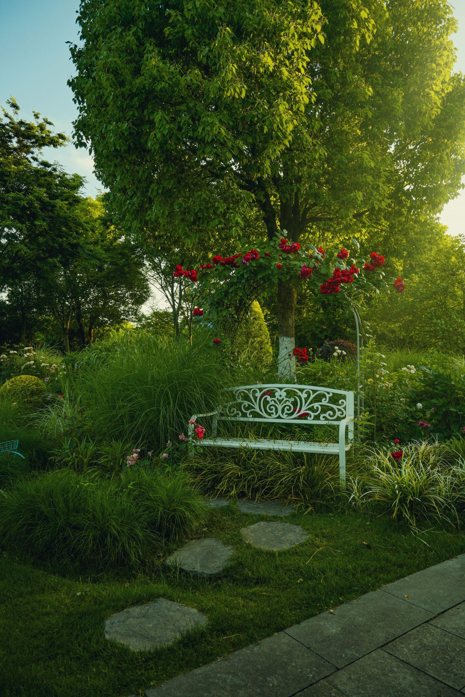 Giardino autunnale accogliente con piante e decorazioni stagionali