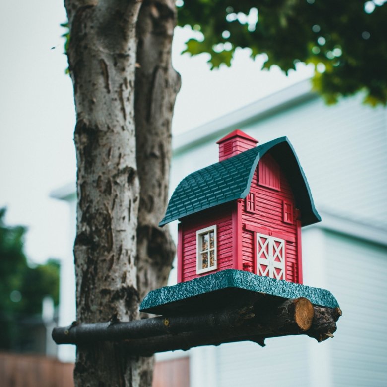 Understanding the Financial Advantage of Home Equity