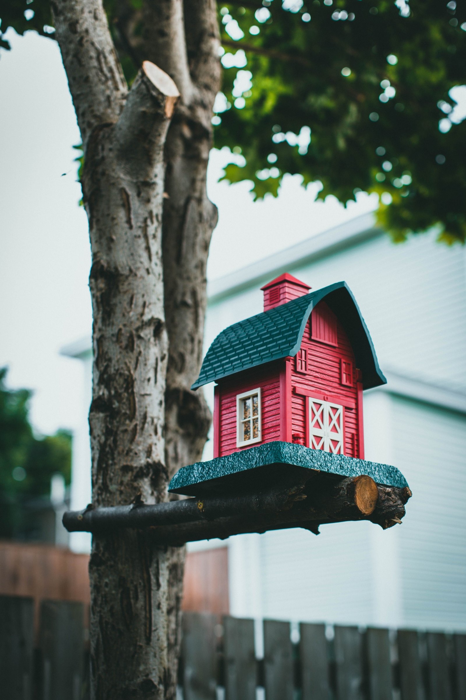 Financial Advantage of Building Home Equity